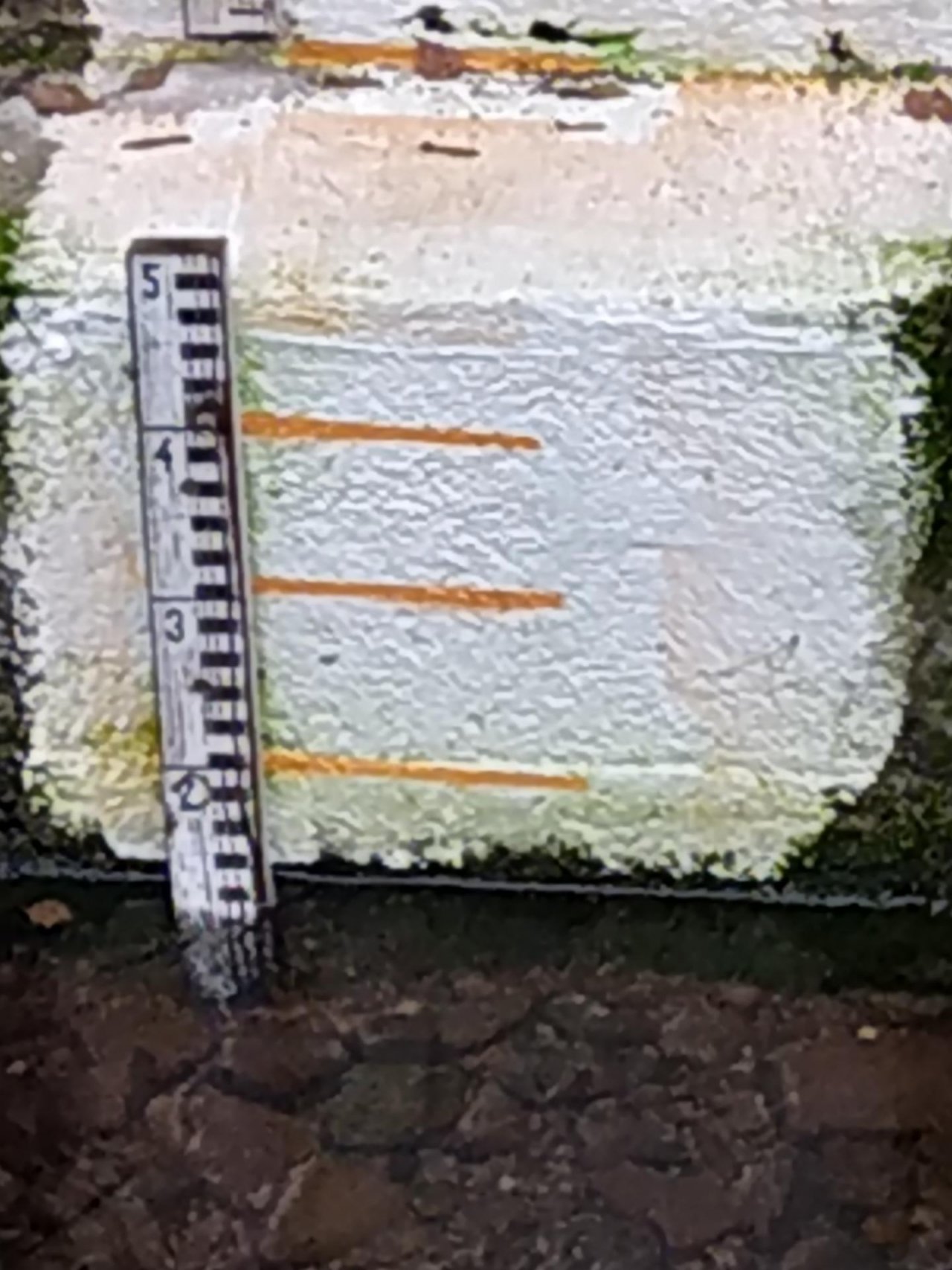 physical scale in CrowdWater App spotted by NoahatArk on 15.12.2020