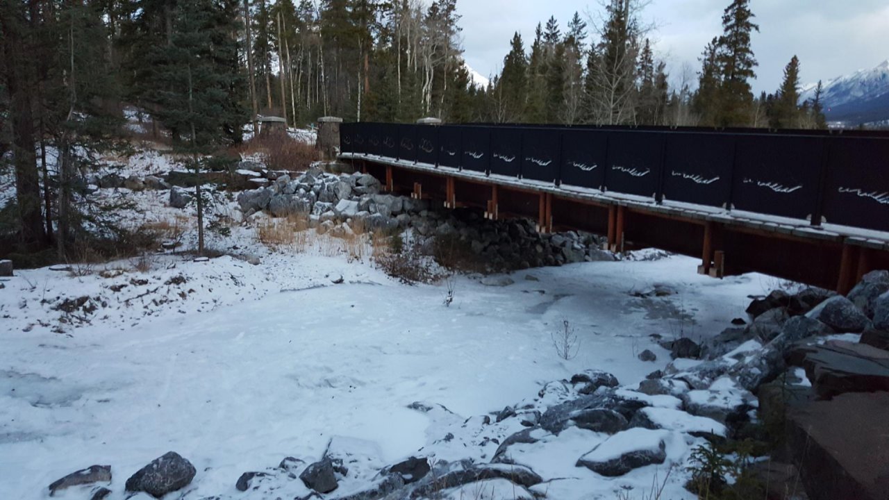 temporary stream in CrowdWater App spotted by Paul Whitfield on 19.12.2020