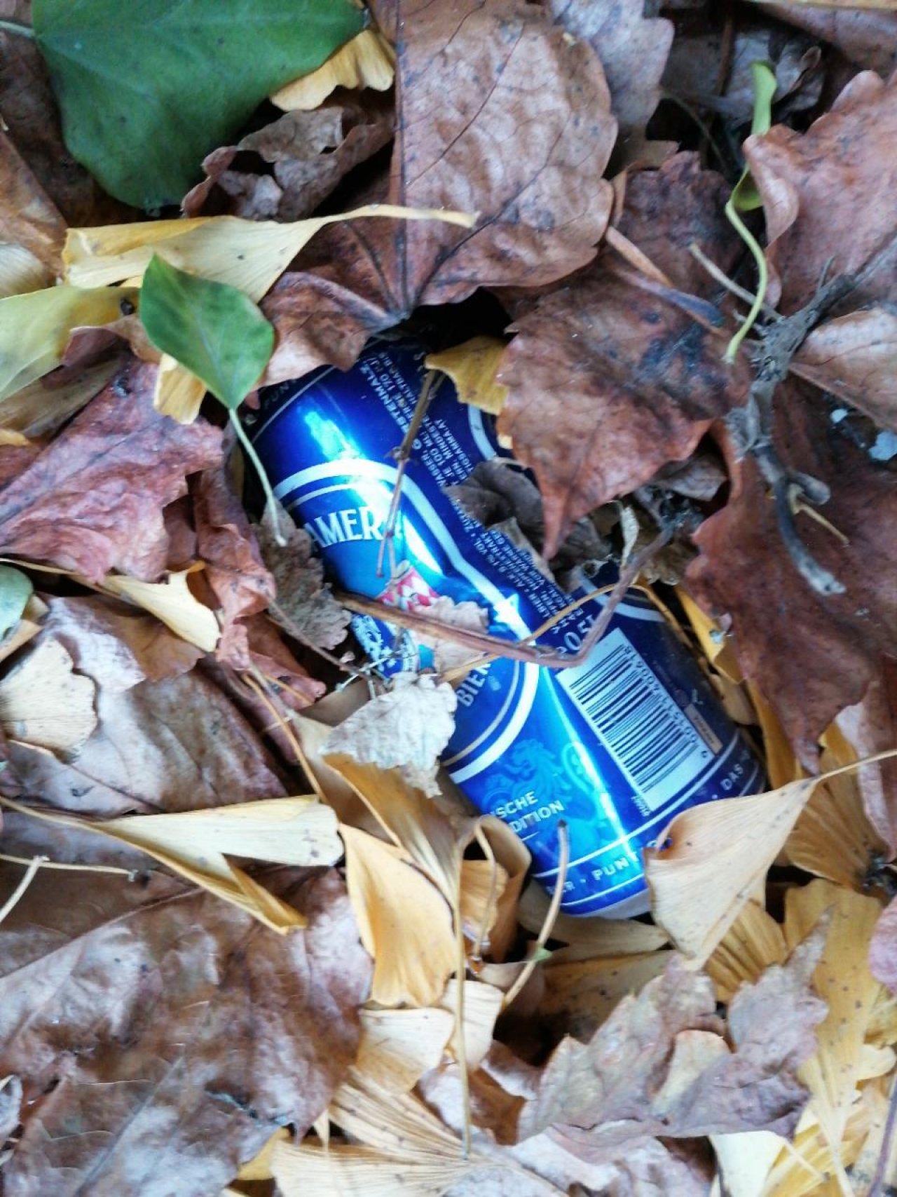 litter in DRECKSPOTZ | GLOBAL 2000 App spotted by Mel Salamon on 21.12.2020