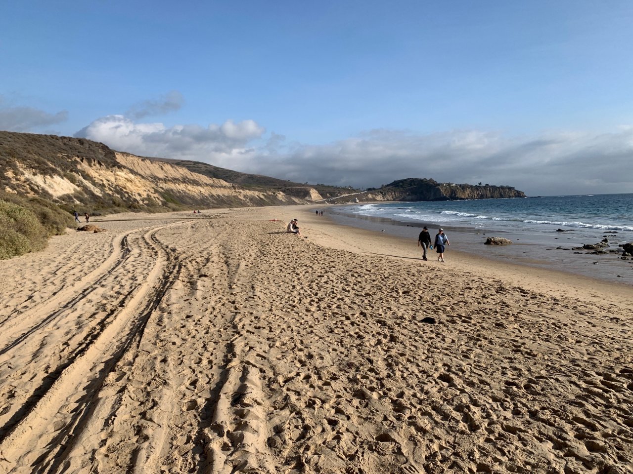 Free Roaming in CoastSnap App spotted by rgates504 on 12.12.2020