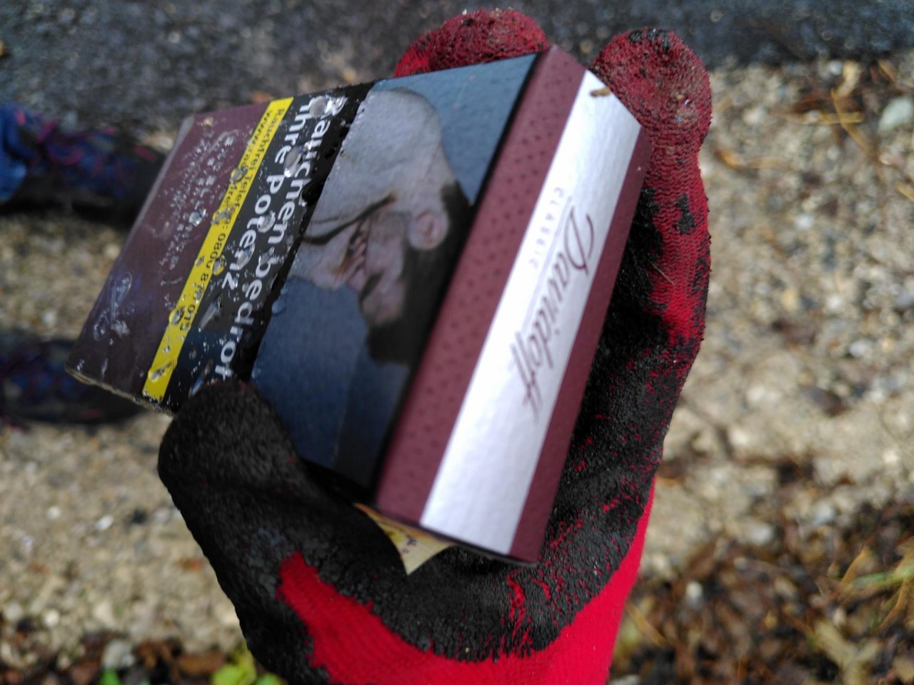 litter in DRECKSPOTZ | GLOBAL 2000 App spotted by TheOSWR on 19.12.2020