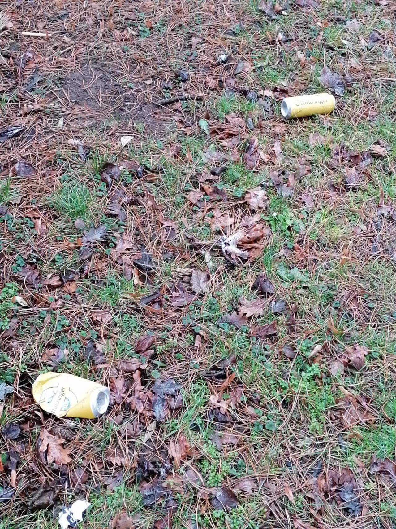 litter in DRECKSPOTZ | GLOBAL 2000 App spotted by Andrea F. on 09.02.2021