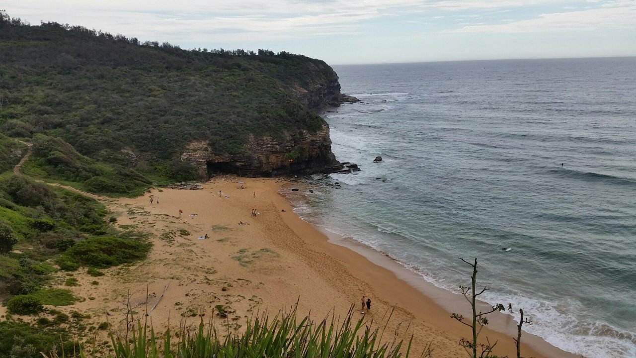 Free Roaming in CoastSnap App spotted by Lewis Slarke on 18.12.2020