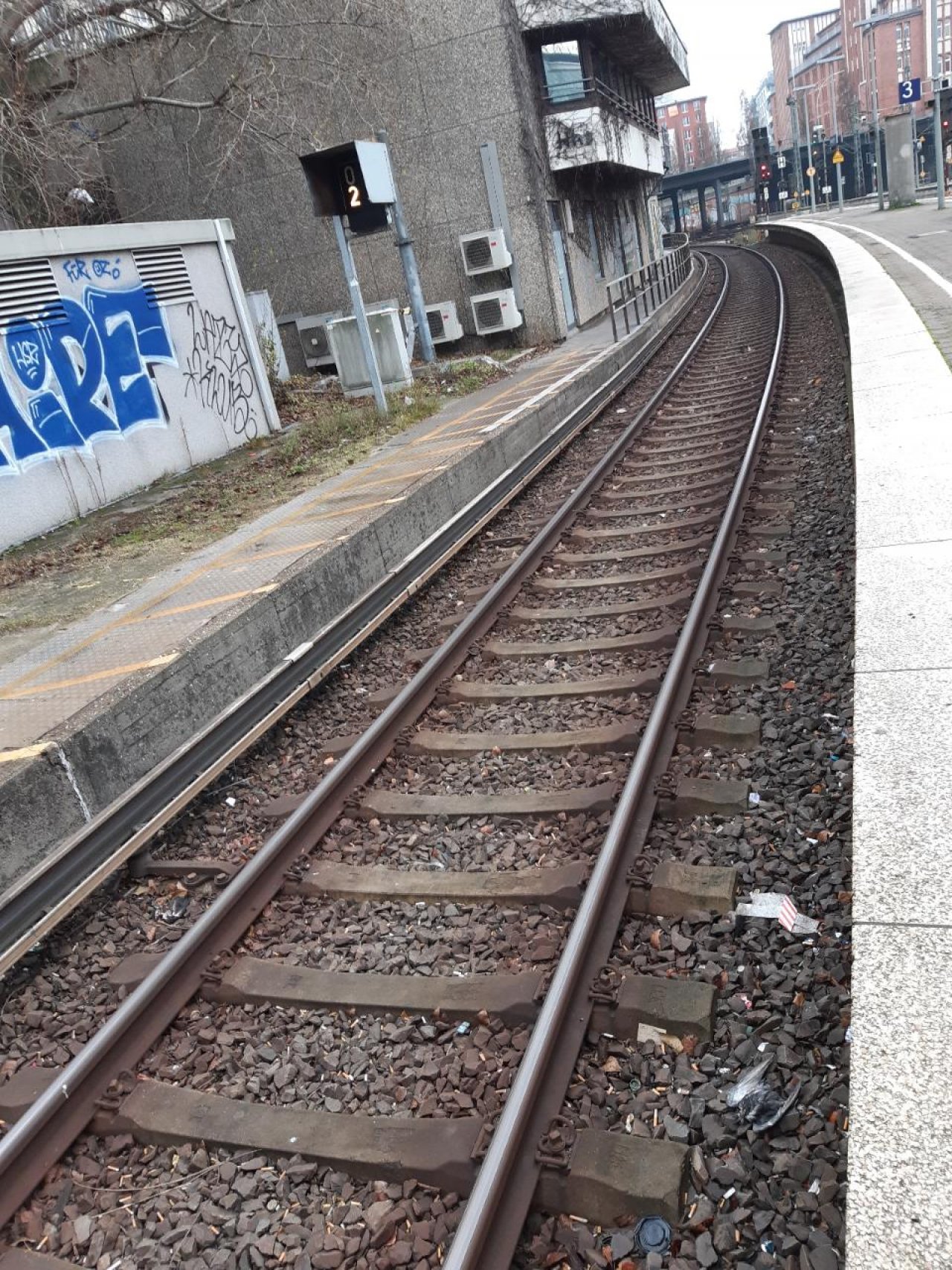 so groß wie Taube in Roadkill App spotted by Mamabird on 02.01.2021