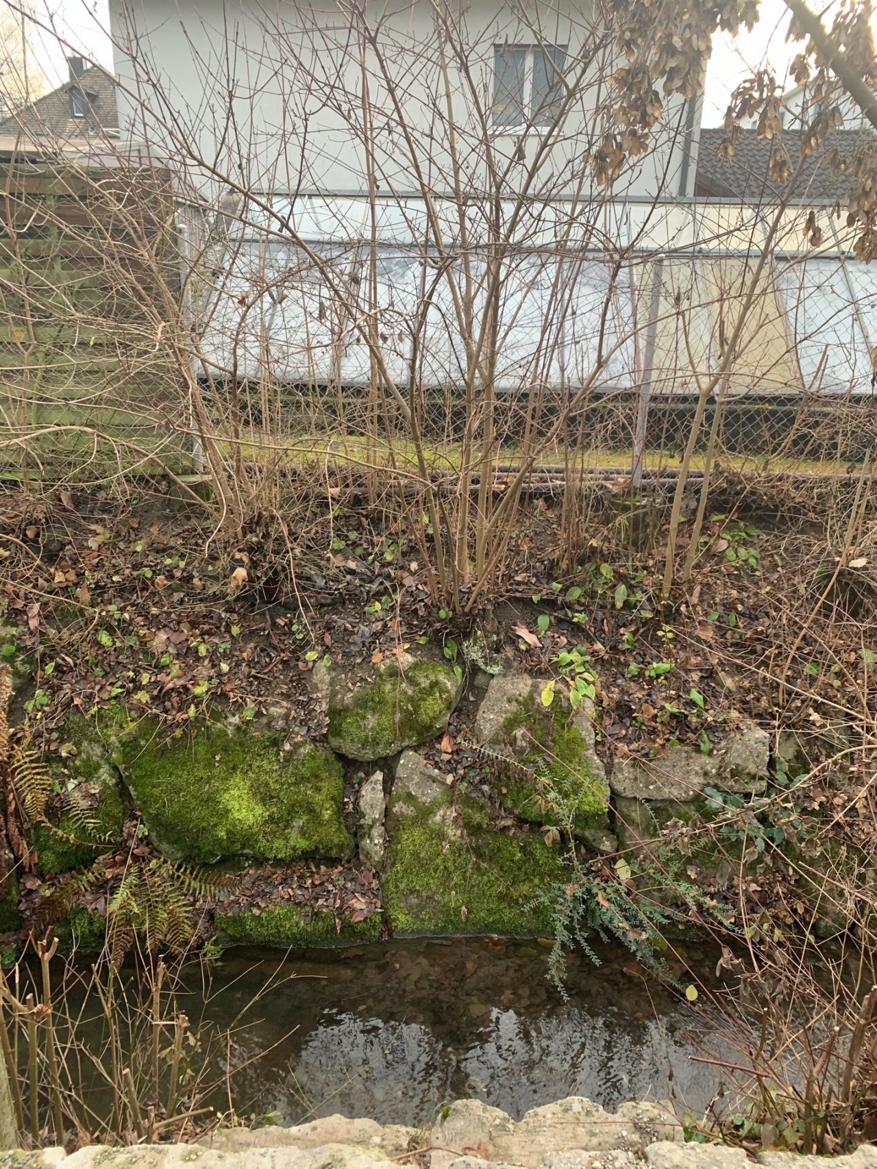 virtual scale in CrowdWater App spotted by MiaSavic on 12.12.2020