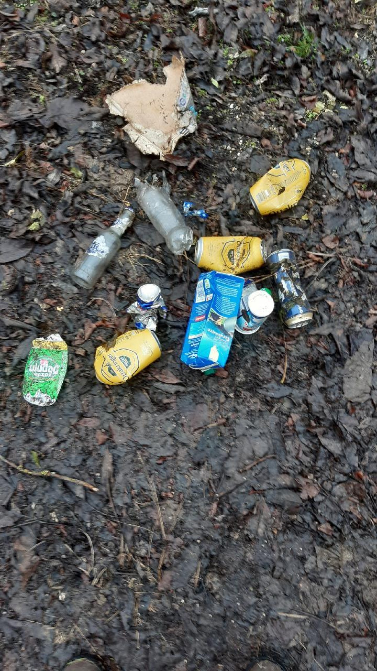 litter in DRECKSPOTZ | GLOBAL 2000 App spotted by Rudolf Haselböck on 11.12.2020