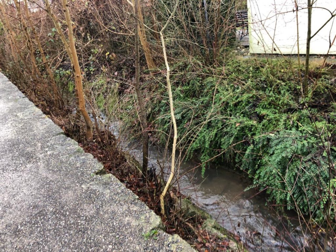 virtual scale in CrowdWater App spotted by MiaSavic on 06.12.2020