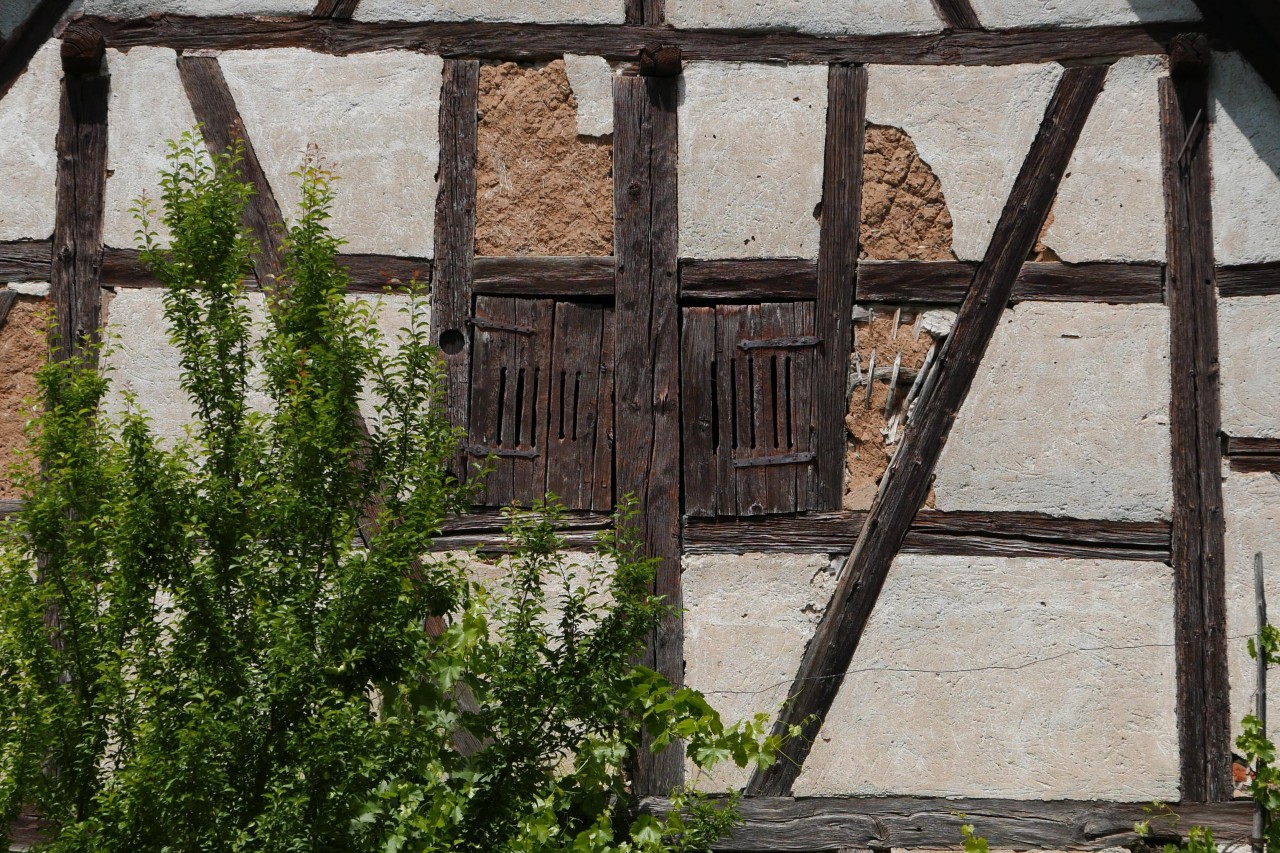 der Reiz des langsamen alt-werdens | Landauf, LandApp BW App | 10.12.2020