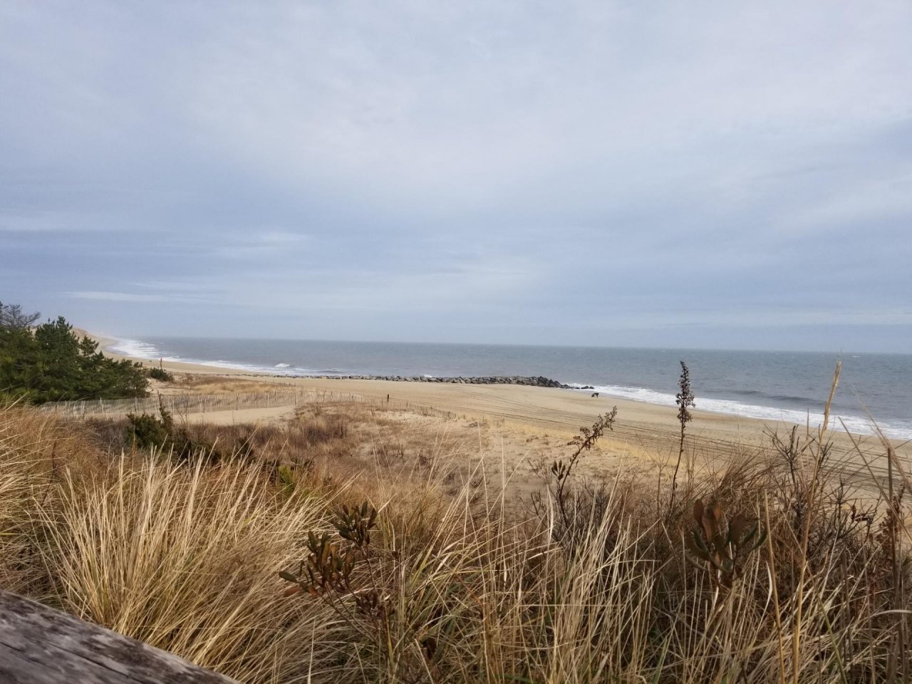 Coastsnap Station in CoastSnap App spotted by Grant Otto on 24.12.2020