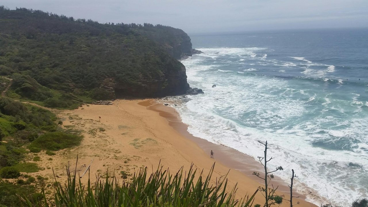 Free Roaming in CoastSnap App spotted by Lewis Slarke on 16.12.2020