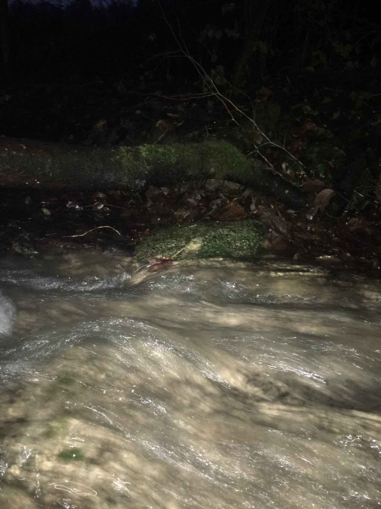 virtual scale in CrowdWater App spotted by Irina Bittel on 12.12.2020