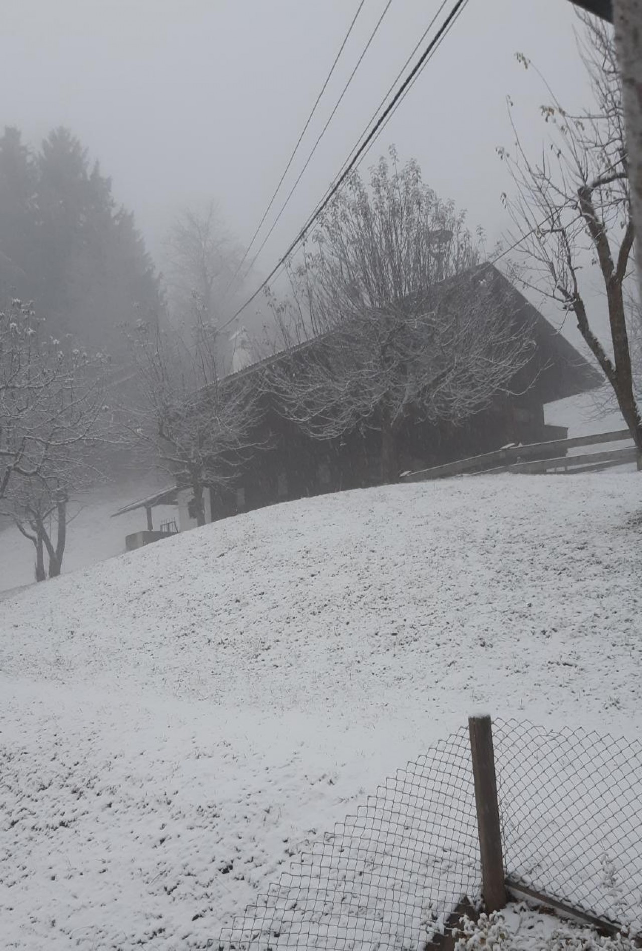 Schneefall bei +2° | Naturkalender App | 09.12.2020