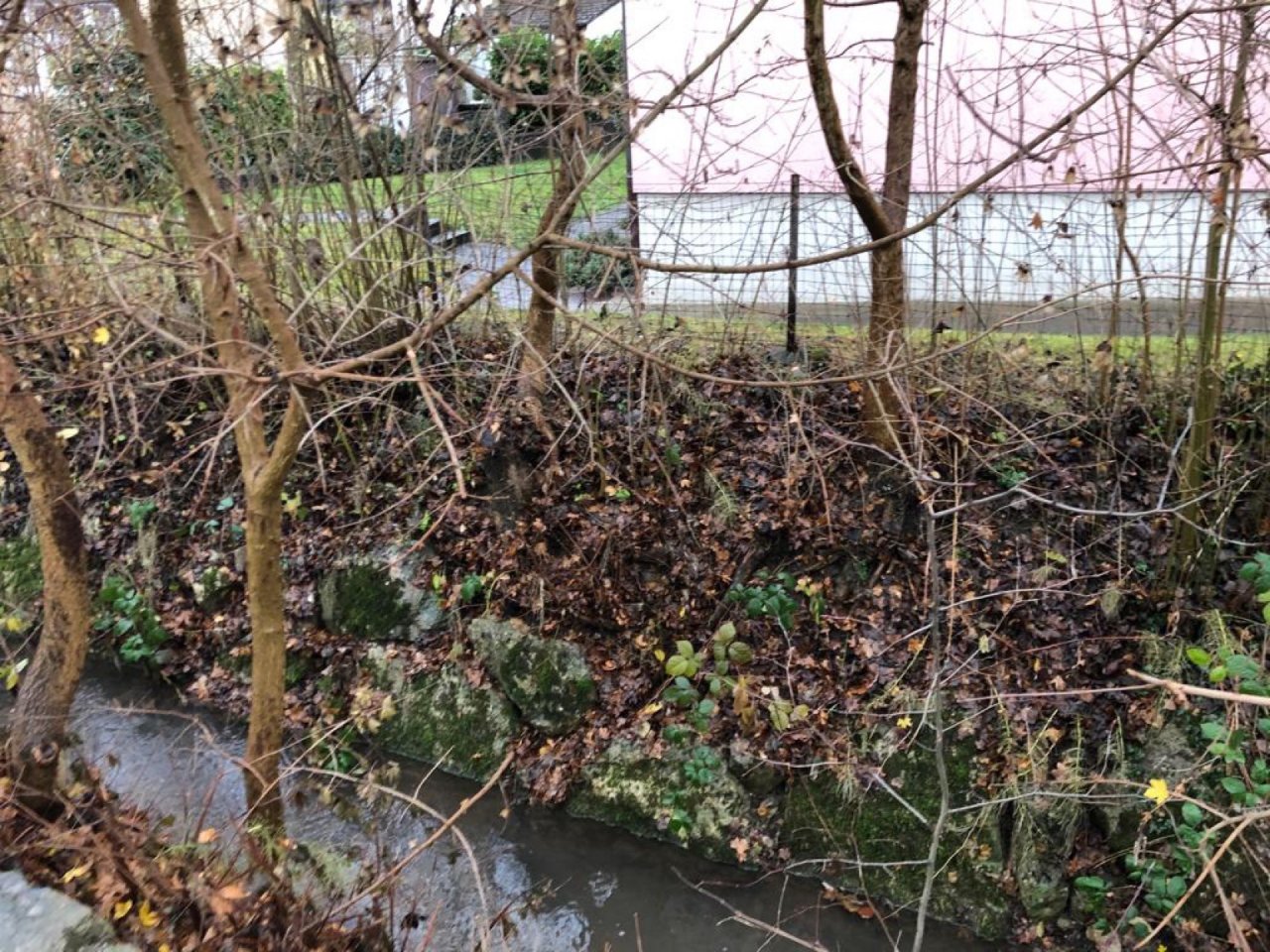 virtual scale in CrowdWater App spotted by MiaSavic on 03.12.2020