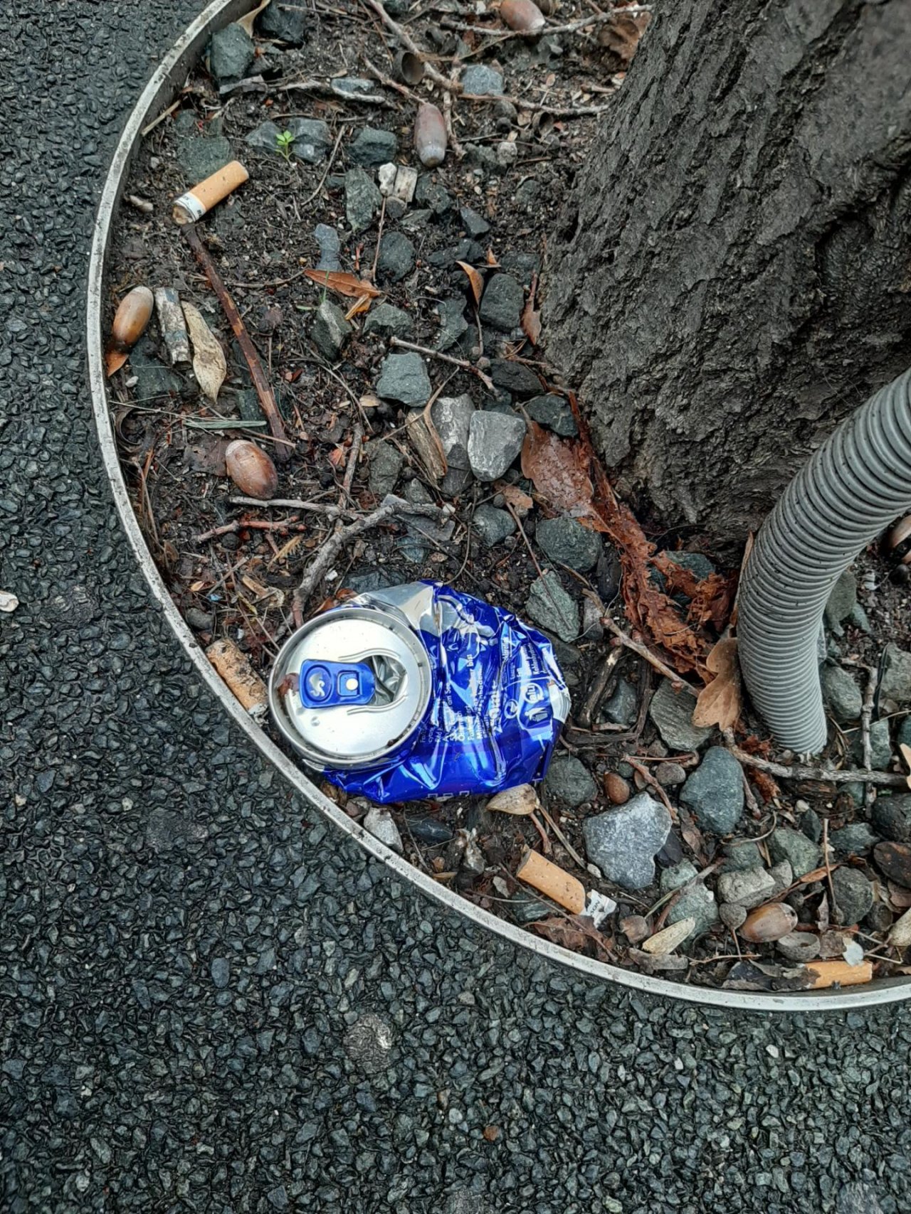 litter in DRECKSPOTZ | GLOBAL 2000 App spotted by Gudrun H. on 05.01.2021