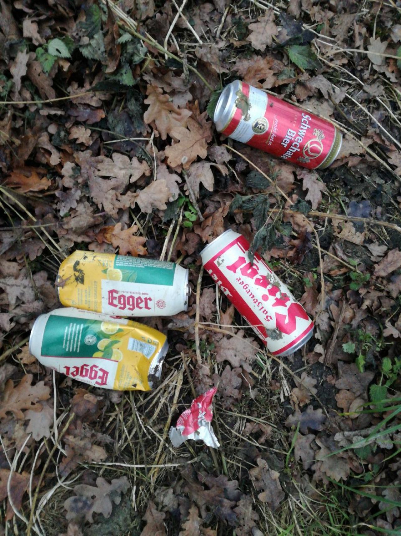 litter in DRECKSPOTZ | GLOBAL 2000 App spotted by Brigitte on 20.12.2020