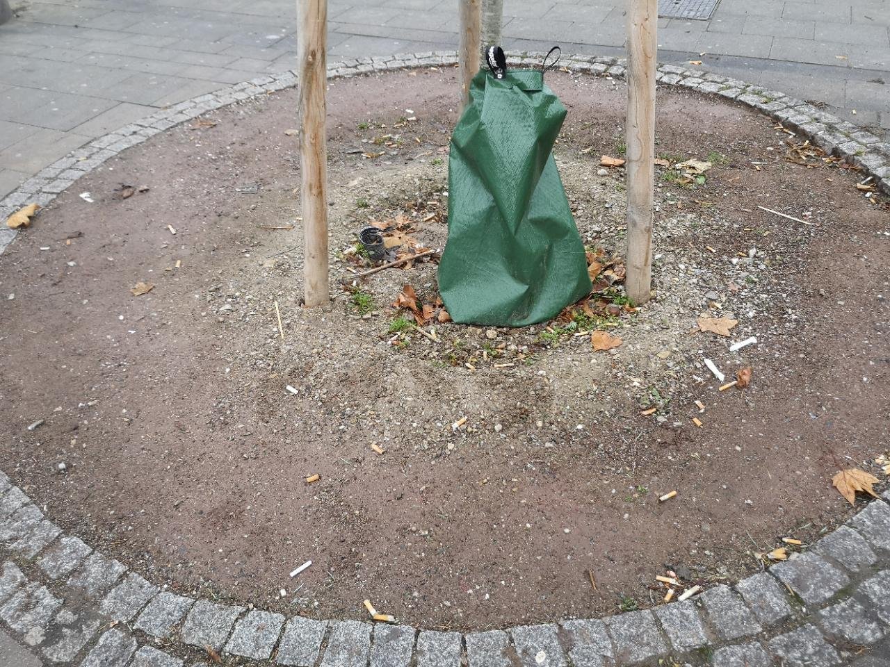 litter in DRECKSPOTZ | GLOBAL 2000 App spotted by Karluise on 16.12.2020