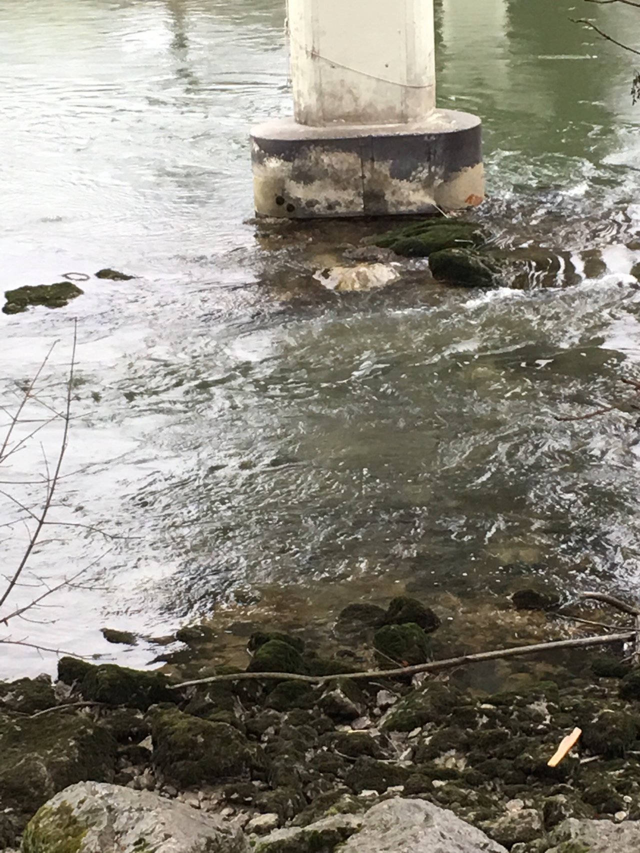 virtual scale in CrowdWater App spotted by Karin Ebermann on 13.12.2020