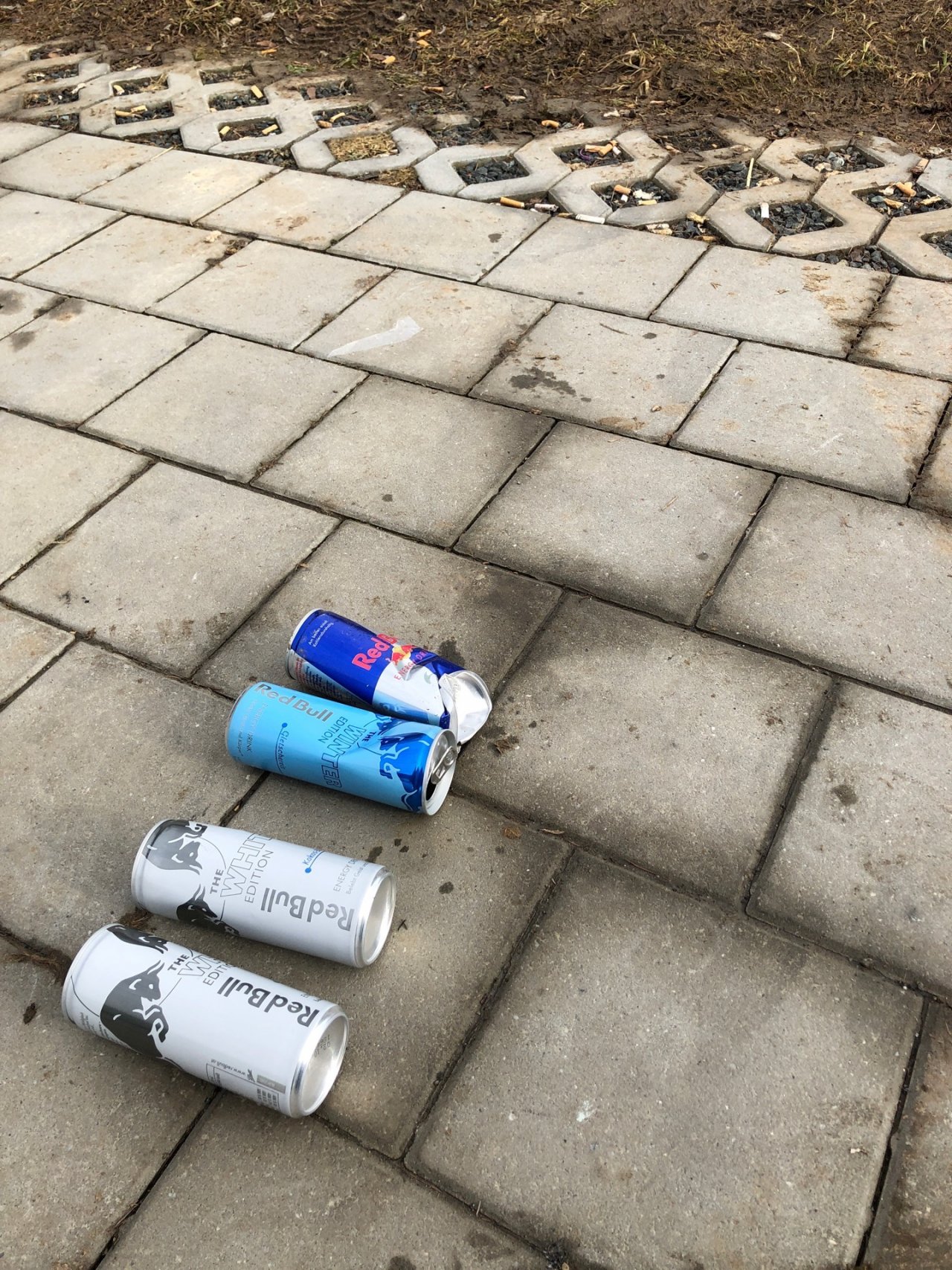 litter in DRECKSPOTZ | GLOBAL 2000 App spotted by Paul Gulda on 05.02.2021