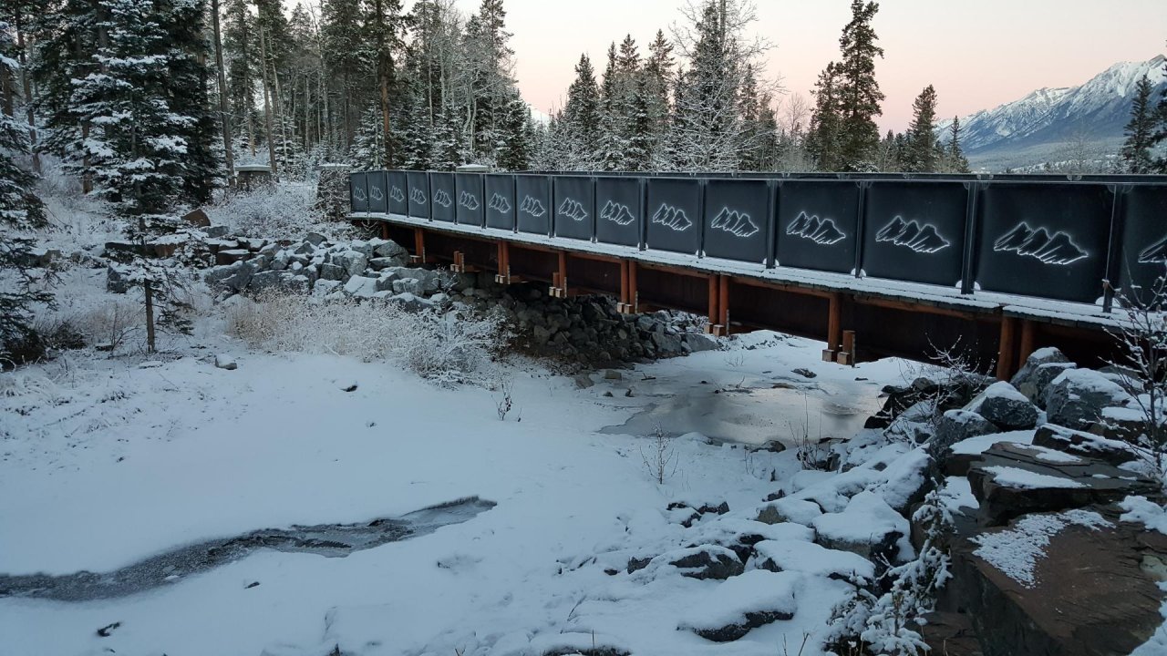 temporary stream in CrowdWater App spotted by Paul Whitfield on 12.12.2020