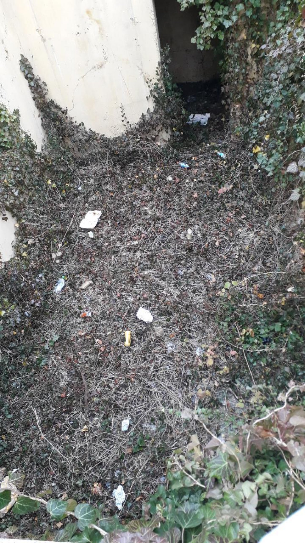 litter in DRECKSPOTZ | GLOBAL 2000 App spotted by GeoNettl on 18.12.2020