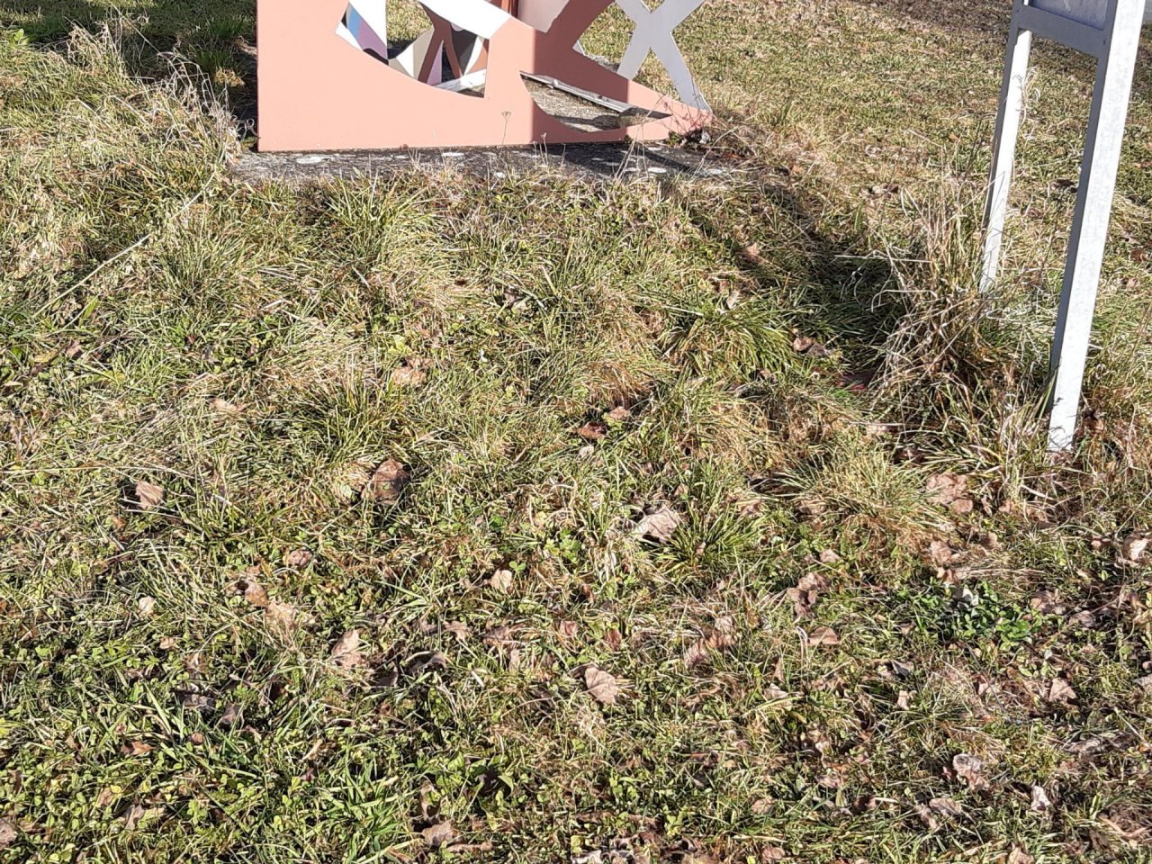 soil moisture in CrowdWater App spotted by Auria Buchs on 26.12.2020