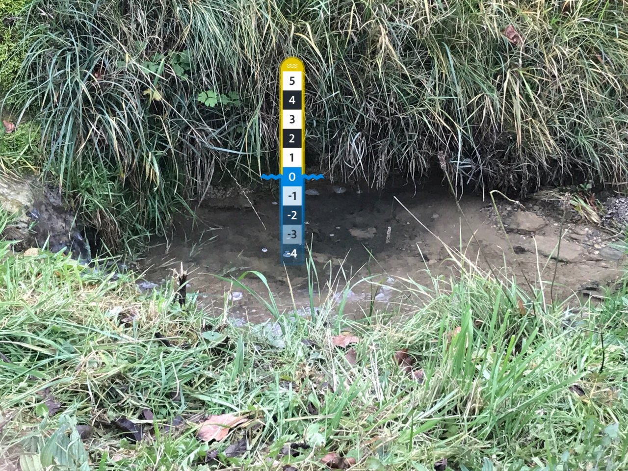 virtual scale in CrowdWater App spotted by TrishaBharath on 22.11.2020