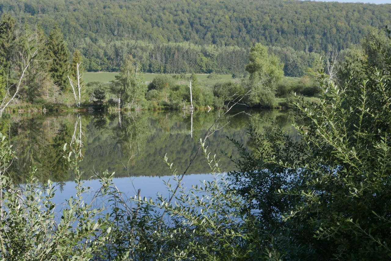 still ruht der (Bagger-) See ! | Landauf, LandApp BW App | 