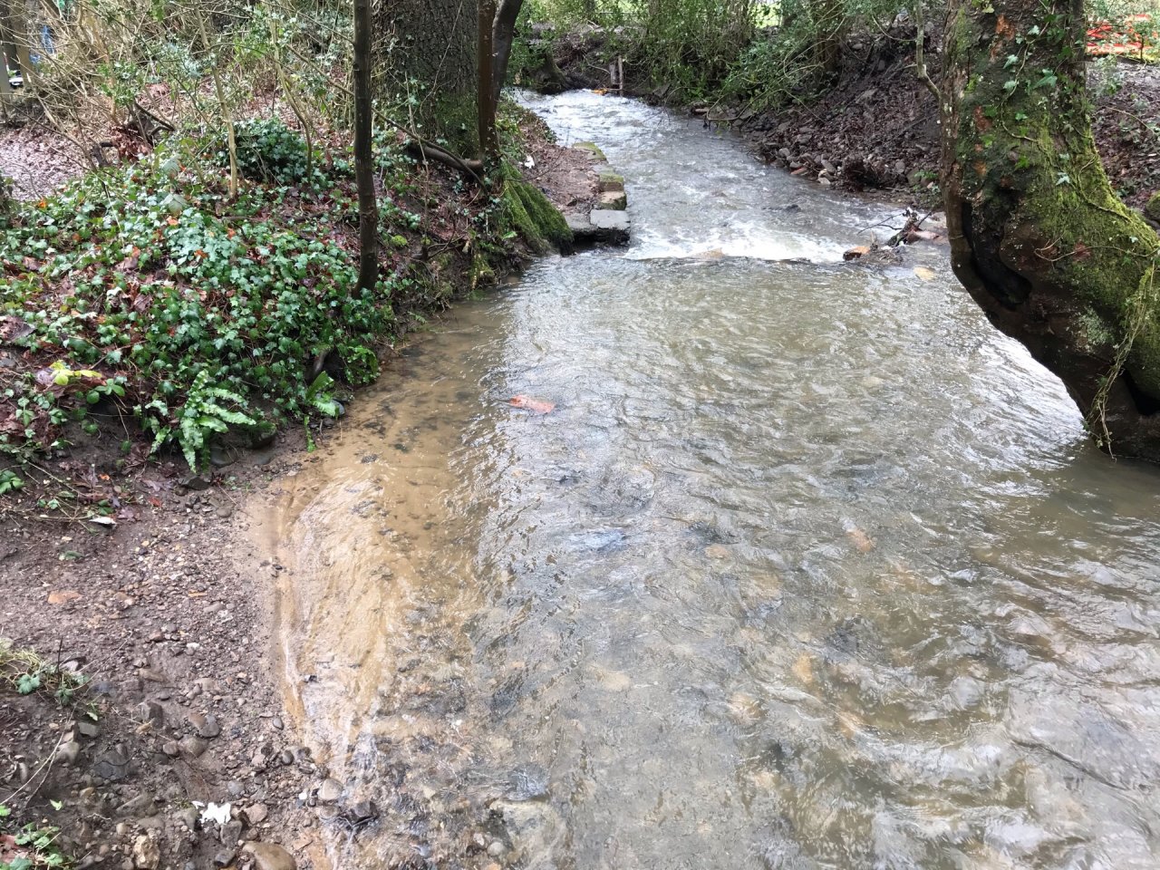 temporary stream in CrowdWater App spotted by Frances Attwood on 16.02.2021