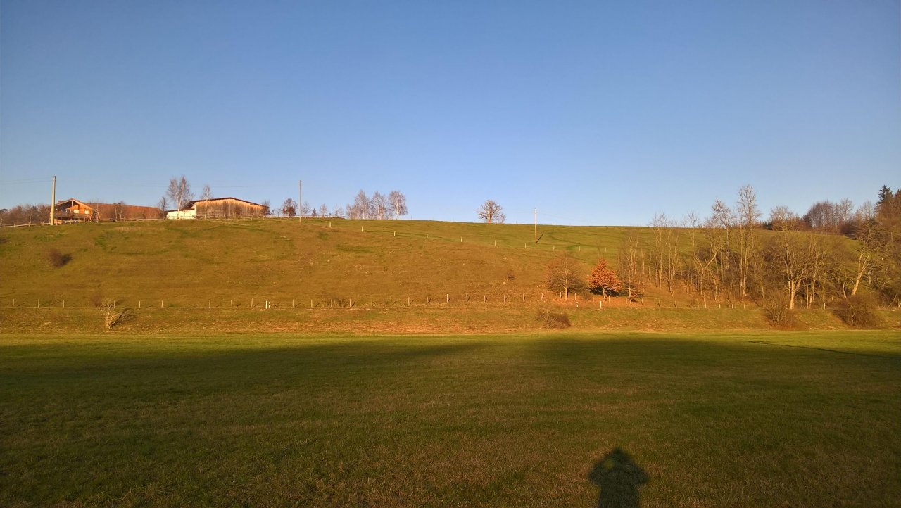 Sonstiges in Landauf, LandApp BW App spotted by Kolonist on 19.12.2020