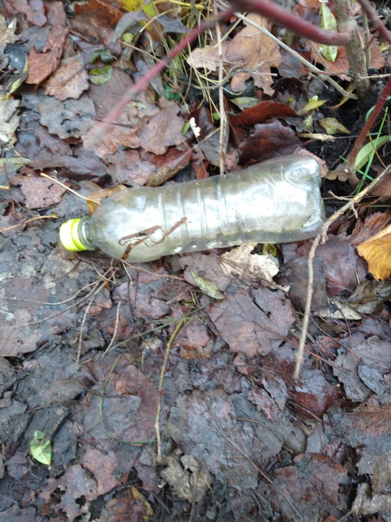 litter in DRECKSPOTZ | GLOBAL 2000 App spotted by AngelSJunk on 21.12.2020