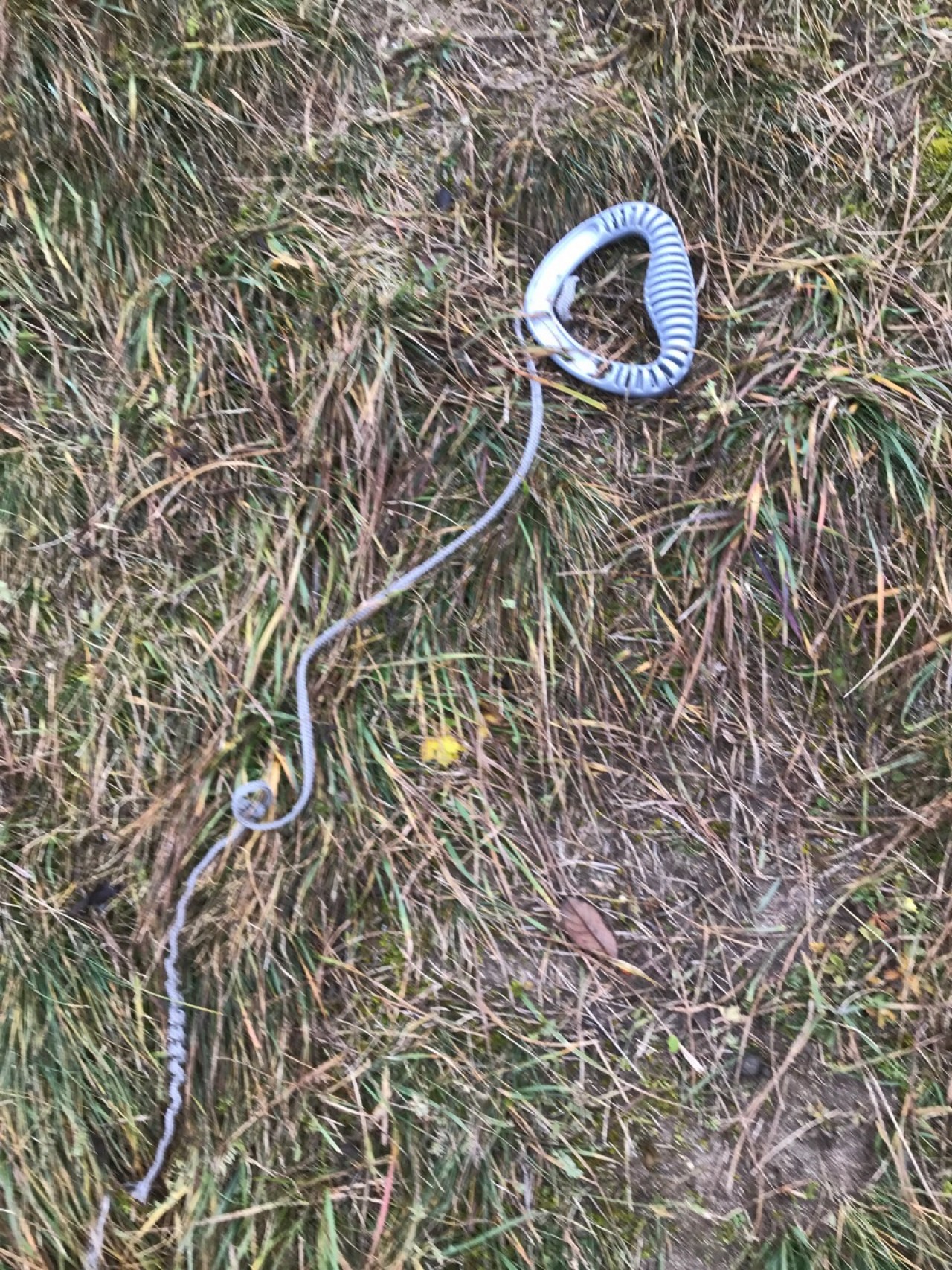 litter in DRECKSPOTZ | GLOBAL 2000 App spotted by Gabriele Kriz on 11.12.2020