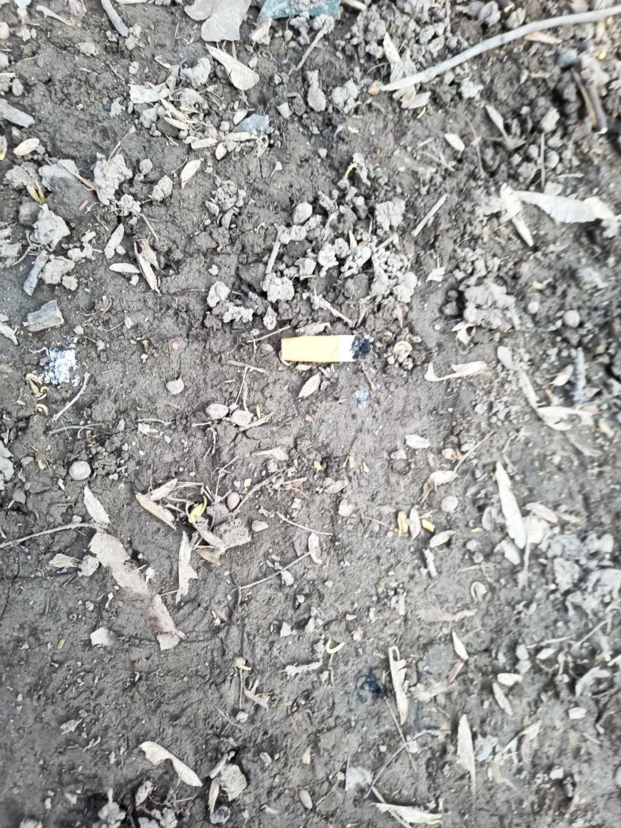 litter in DRECKSPOTZ | GLOBAL 2000 App spotted by HOEK2021DW on 10.03.2021