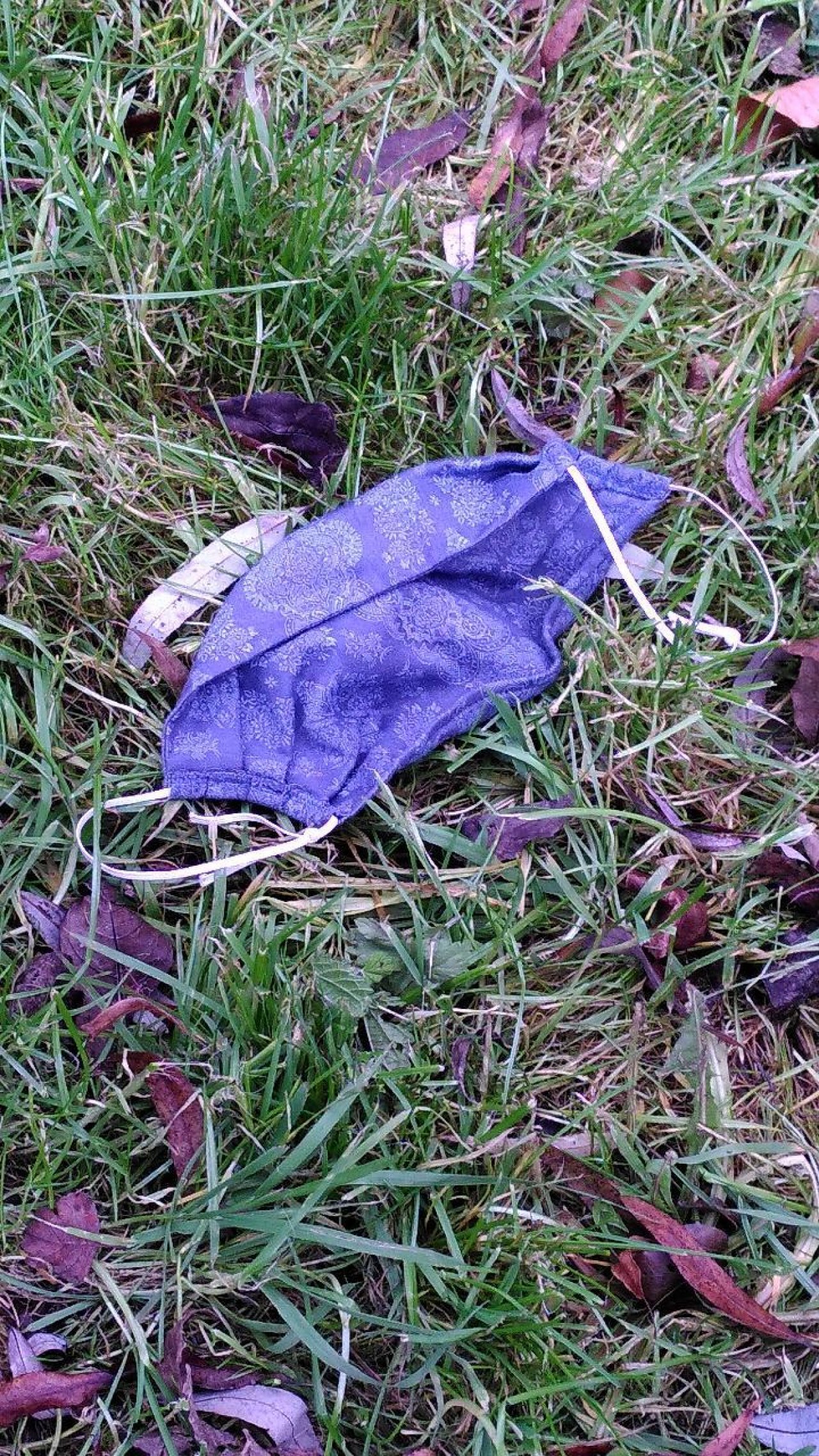 litter in DRECKSPOTZ | GLOBAL 2000 App spotted by Baumgeist45 on 12.12.2020