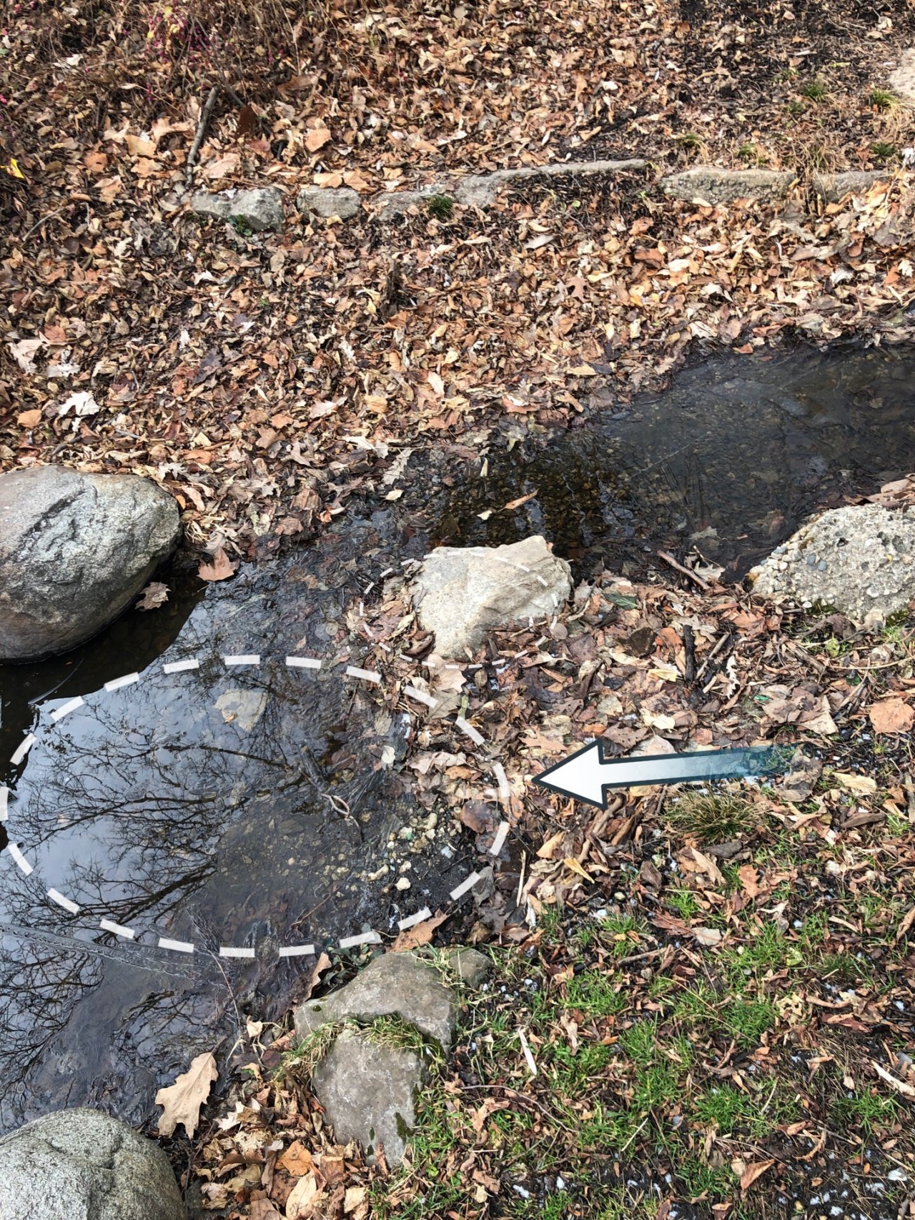 temporary stream in CrowdWater App spotted by Clayton Jost on 18.12.2020