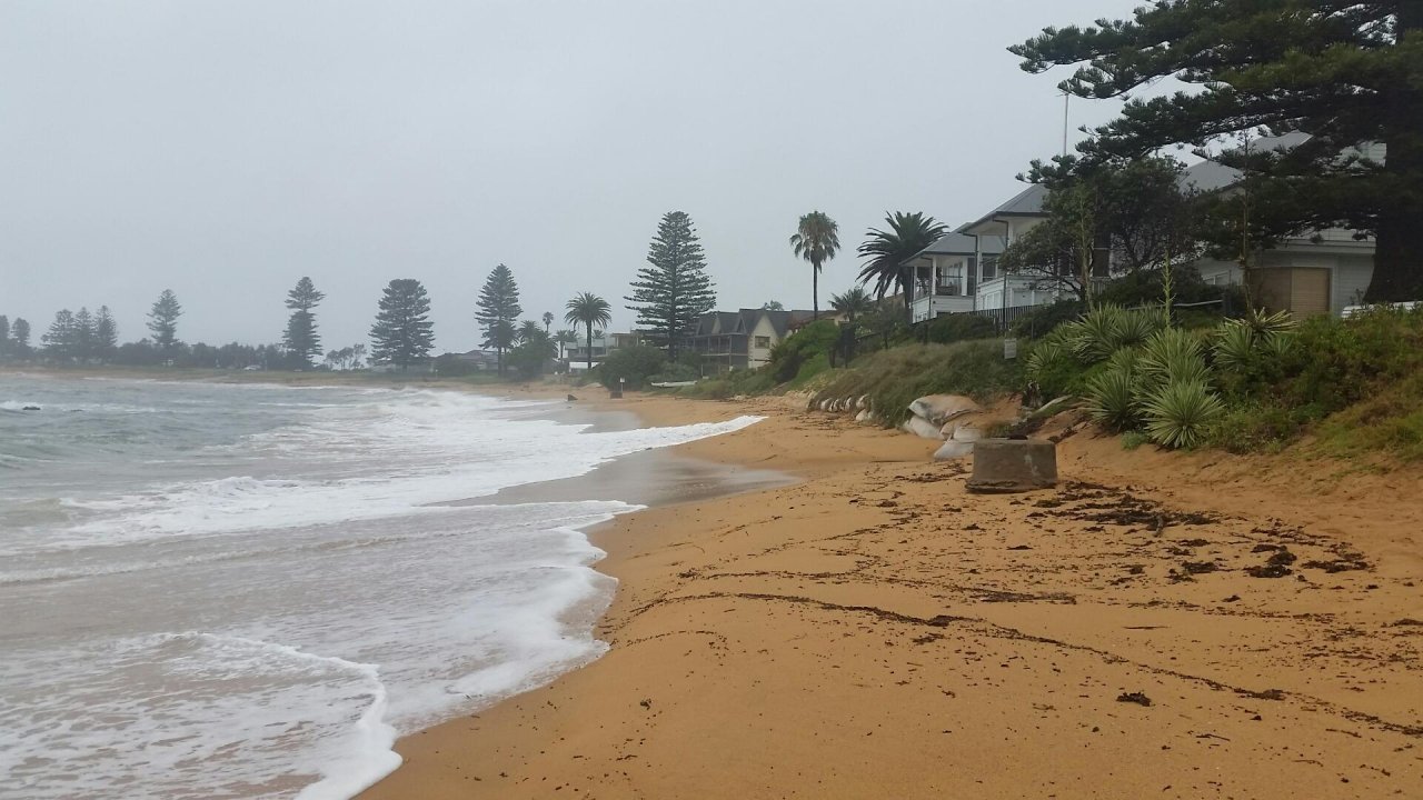 Free Roaming in CoastSnap App spotted by Lewis Slarke on 15.12.2020