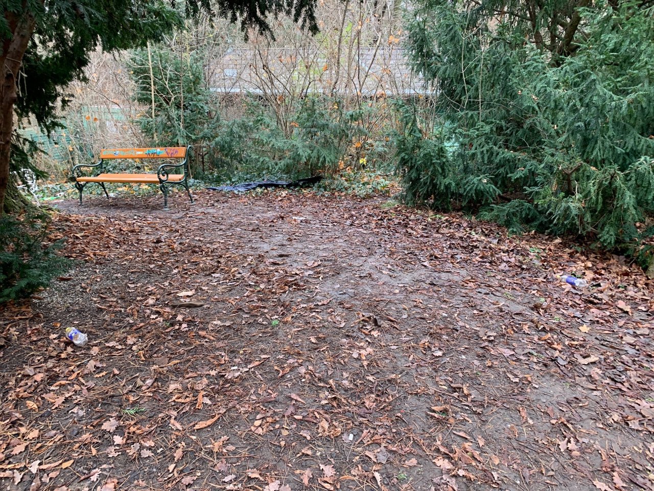 litter in DRECKSPOTZ | GLOBAL 2000 App spotted by Anna Graf on 21.12.2020