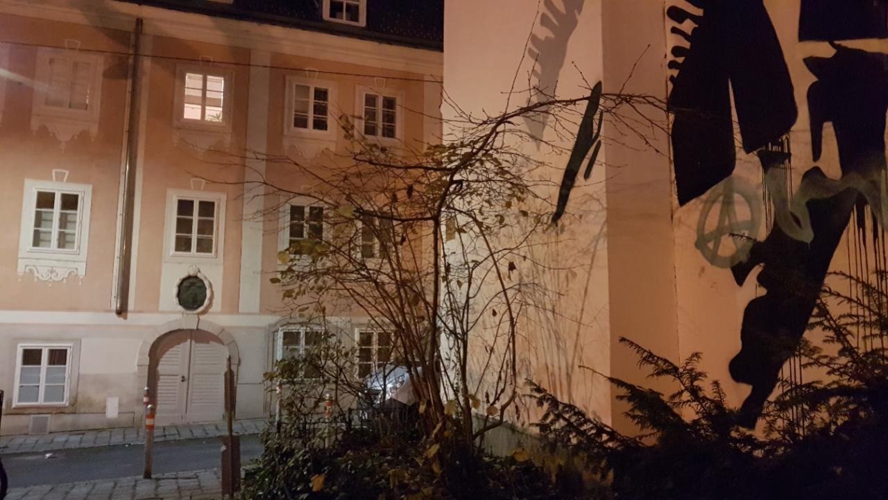 Haselstrauch in Naturkalender App spotted by Ka vonSeiten on 19.12.2020