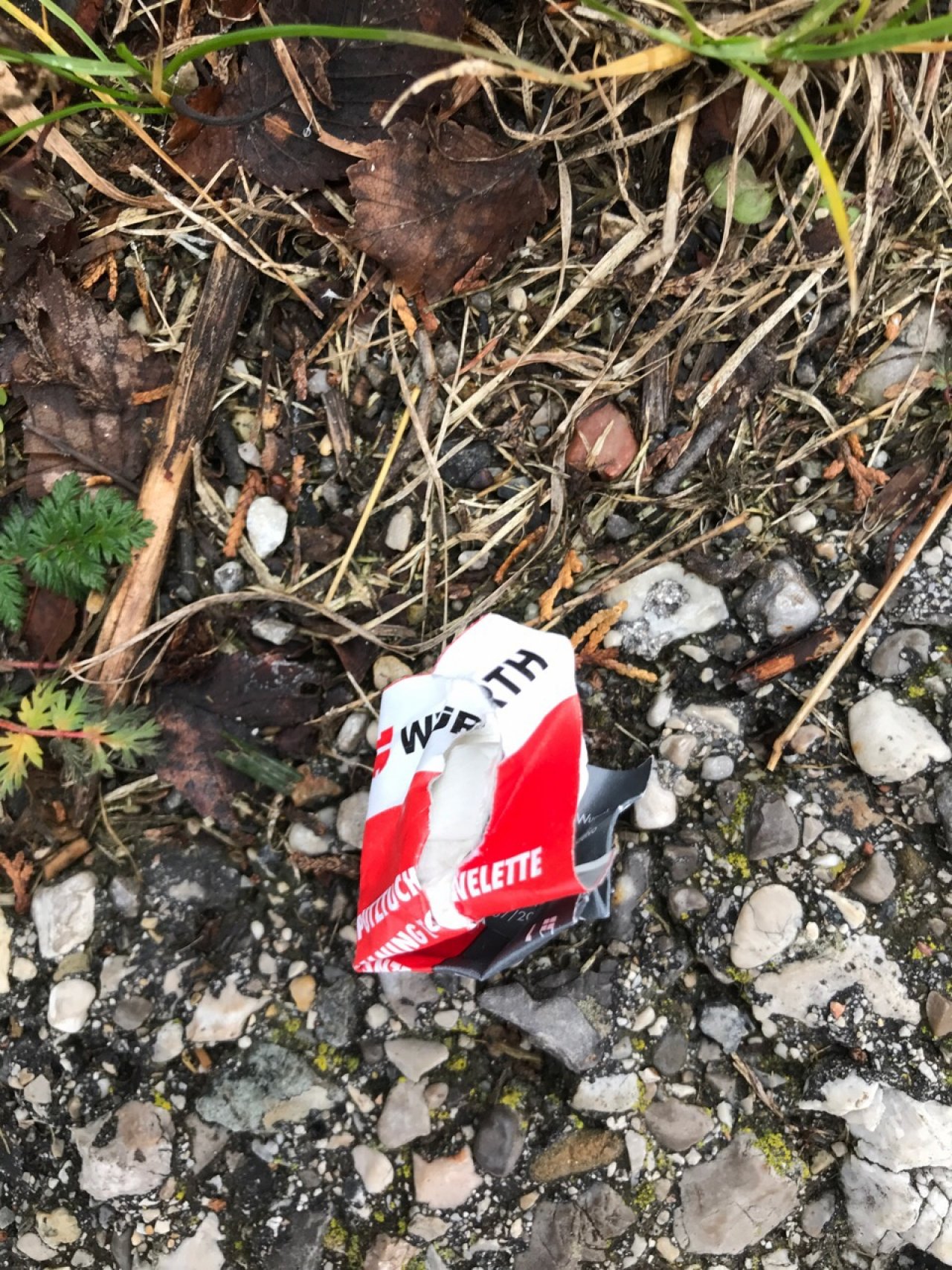 litter in DRECKSPOTZ | GLOBAL 2000 App spotted by Gabriele Kriz on 17.12.2020