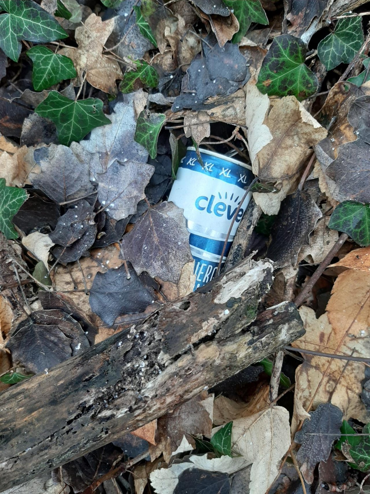 litter in DRECKSPOTZ | GLOBAL 2000 App spotted by Gudrun H. on 10.01.2021