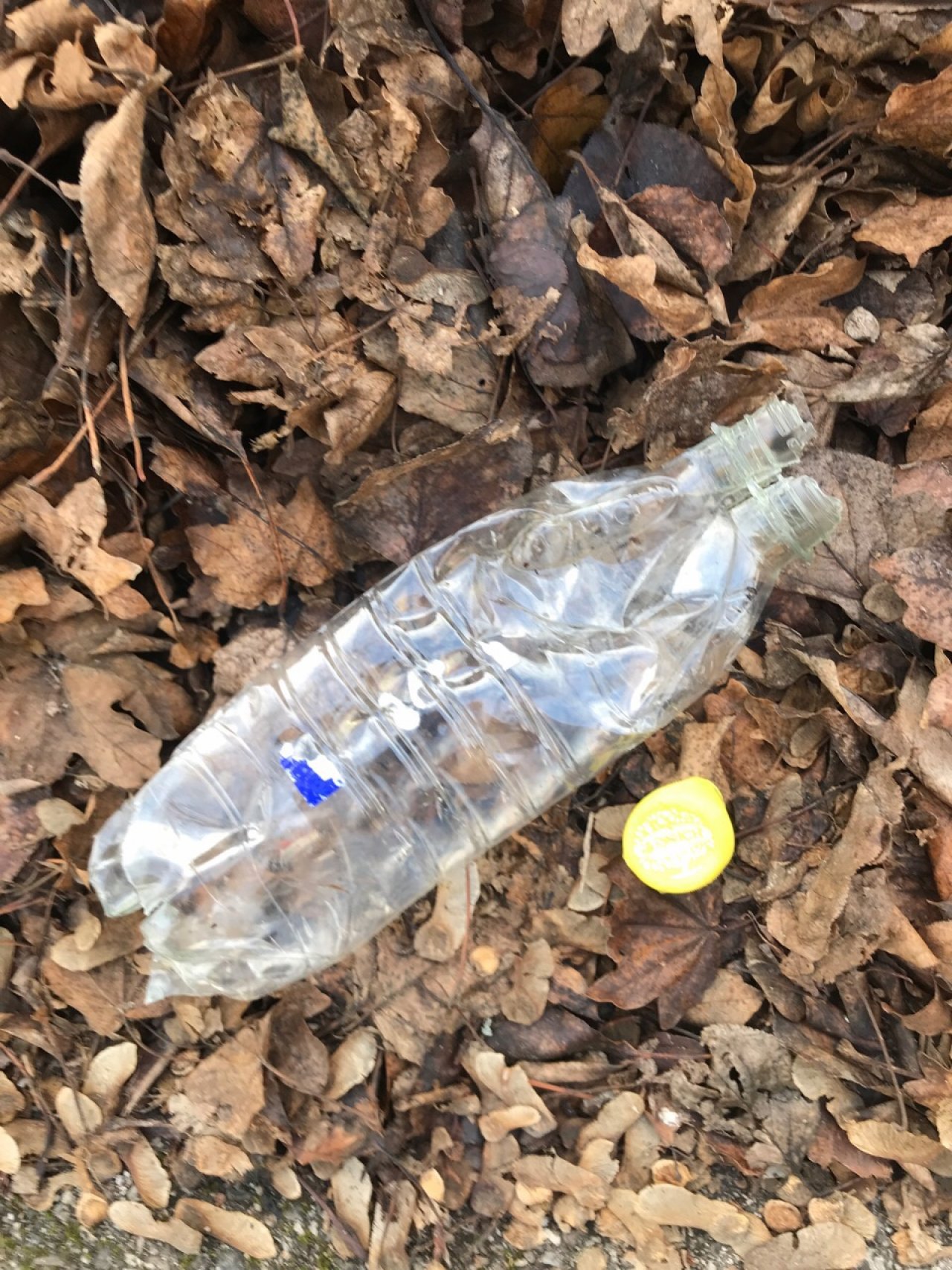litter in DRECKSPOTZ | GLOBAL 2000 App spotted by Gabriele Kriz on 12.12.2020