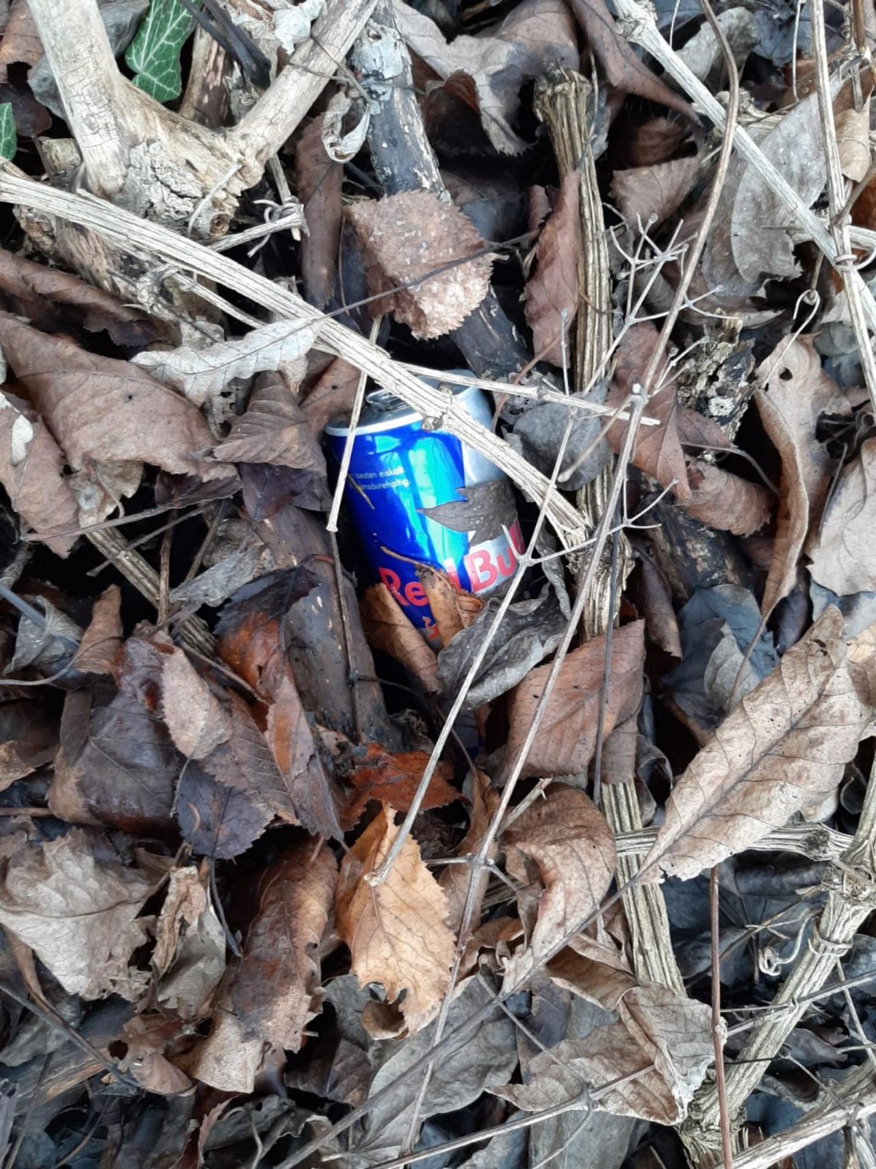 litter in DRECKSPOTZ | GLOBAL 2000 App spotted by Dreckspitz on 09.01.2021