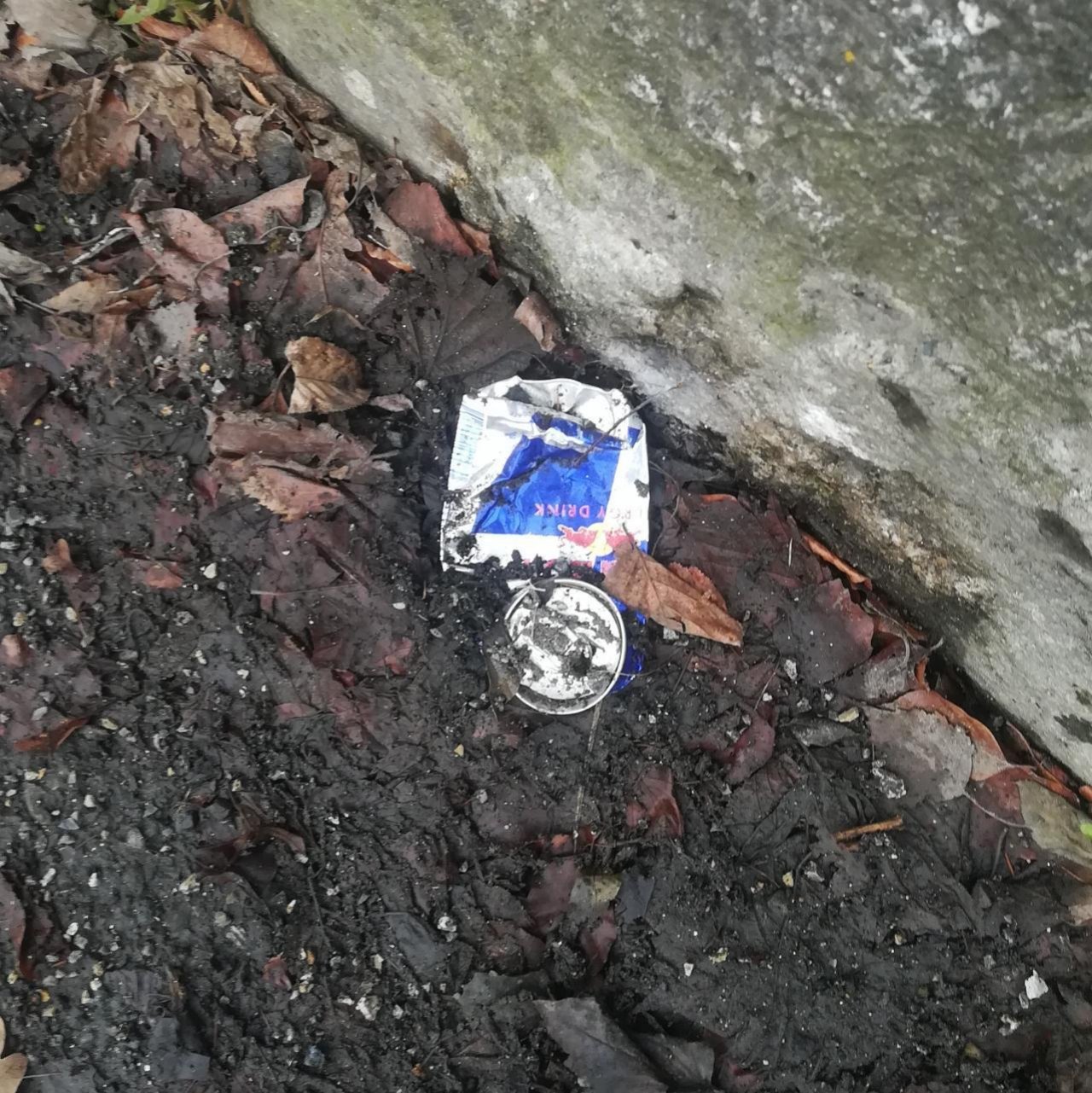 litter in DRECKSPOTZ | GLOBAL 2000 App spotted by Aramis2008 on 19.12.2020