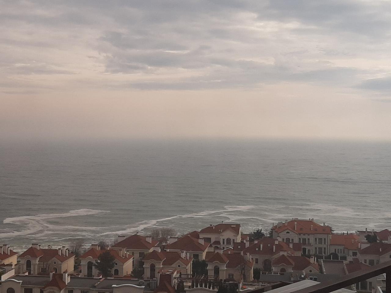 Other Location in ArtSpots App spotted by Yuriiblank on 31.12.2020