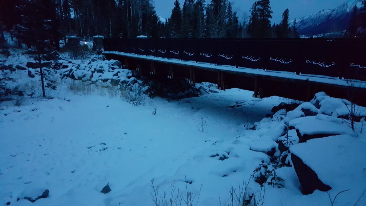 temporary stream in CrowdWater App spotted by Paul Whitfield on 21.12.2020