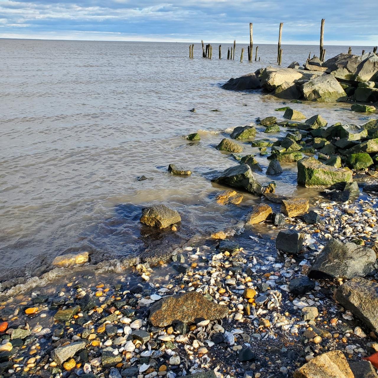 Weather in Coastal Observer App spotted by Jennifer Boland on 02.01.2021