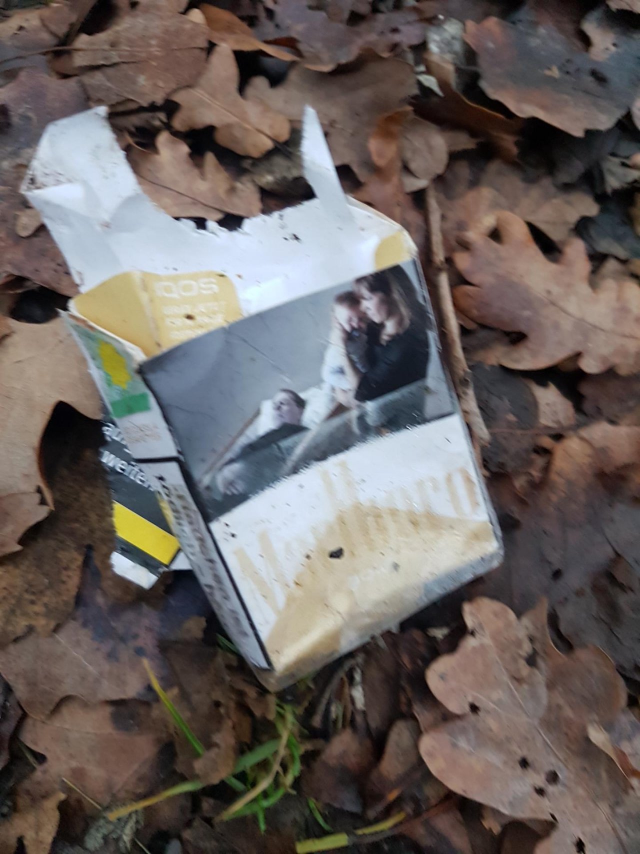 litter in DRECKSPOTZ | GLOBAL 2000 App spotted by Fabiii on 18.12.2020