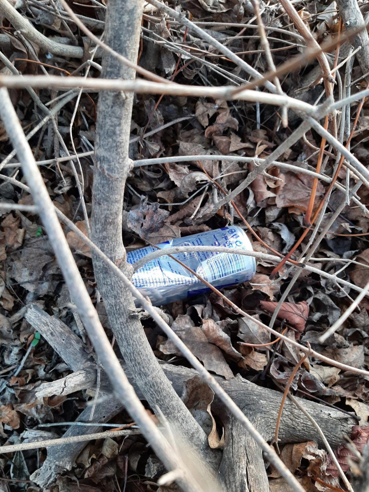 litter in DRECKSPOTZ | GLOBAL 2000 App spotted by Gudrun H. on 04.02.2021