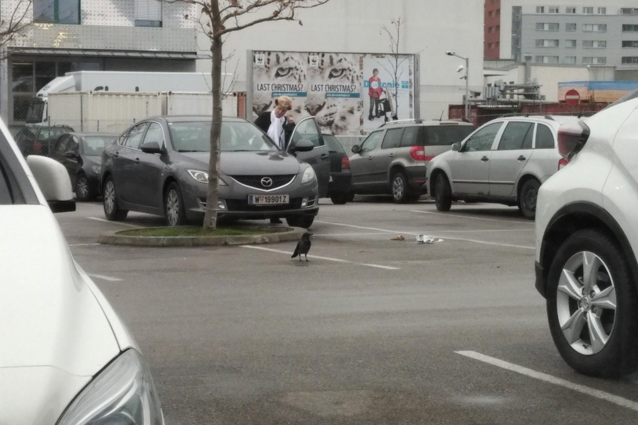 Hybrid (Carrion / Hooded) in KraMobil App spotted by Patrick BA on 16.12.2020