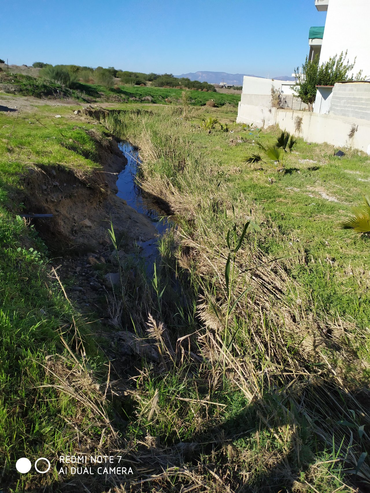 temporary stream in CrowdWater App spotted by Iakovos Tziortzis on 19.12.2019