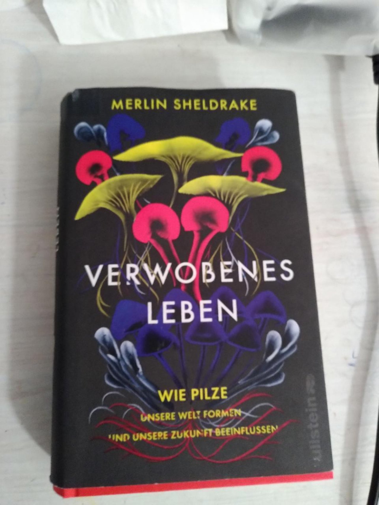 andere Pilzformen in Pilzfinder App spotted by TheOSWR on 05.01.2021